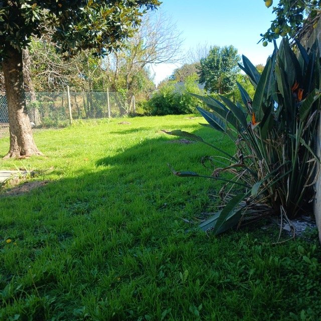 Ascensión Gral. Arenales Casa 3 con Dep.  ambientes  En Venta -3