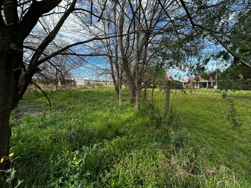 Paso Piedras Junín Terreno 0  ambientes  En Venta -2