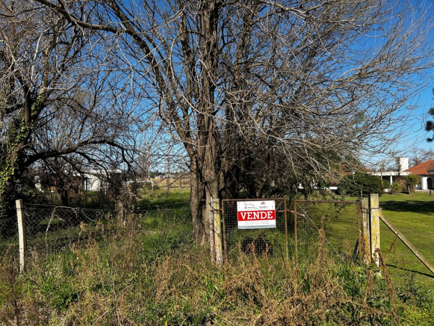 Paso Piedras Junín Terreno 0  ambientes  En Venta -3