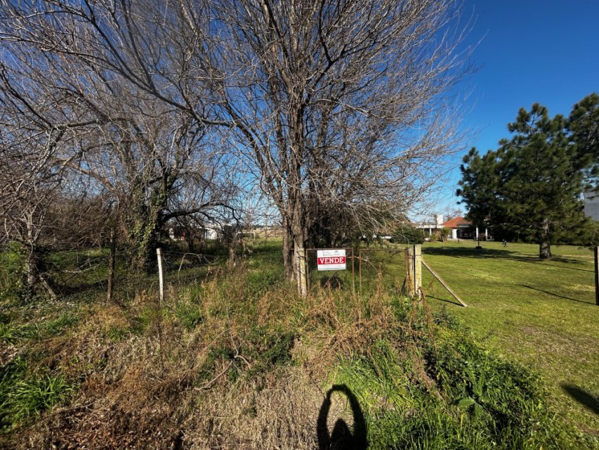 Paso Piedras Junín Terreno 0  ambientes  En Venta -5