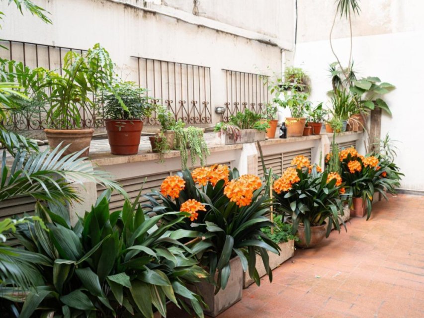 Arenales 1600 Recoleta Departamento 2  ambientes  En Venta -10