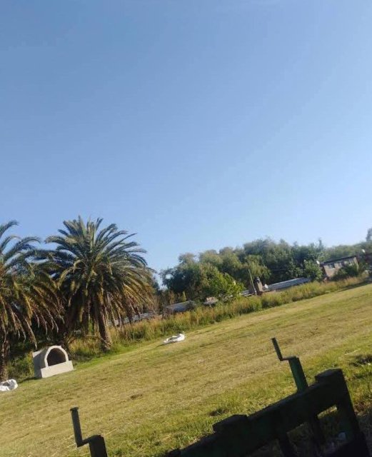 Club de Cazadores Junín Terreno 0  ambientes  En Venta -2